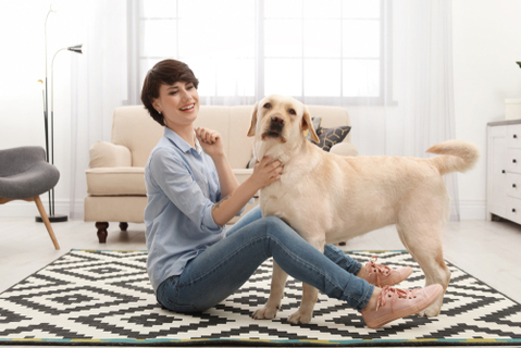 大型犬を室内で飼う時のポイントってなに ポイントを紹介します Uchinoco うちの子