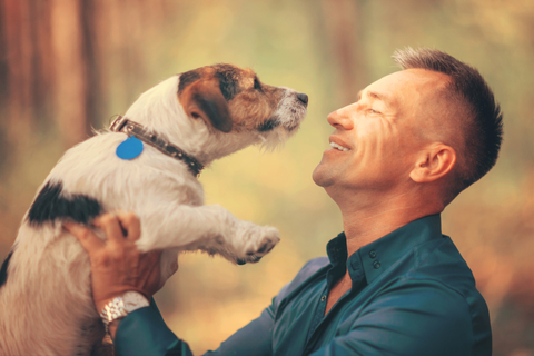 犬の寂しい時の行動とは 寂しがる時の対処法 Uchinoco うちの子