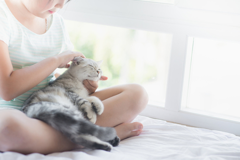 写真素材・写真とロイヤリティフリー動画素材 | Shutterstock