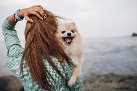 実は知らない 犬の正しい抱っこの仕方を覚えよう Uchinoco うちの子