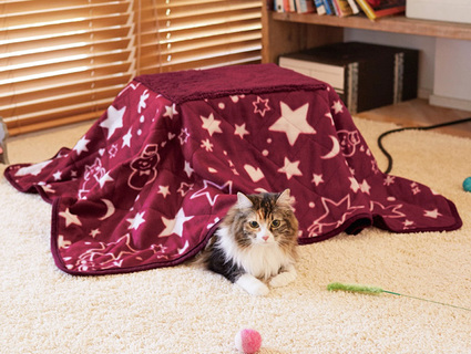 猫用こたつで寒さをしのごう!おすすめ商品7選を紹介 | UCHINOCO 猫用こたつで寒さをしのごう!おすすめ商品7選を紹介 | UCHINOCO