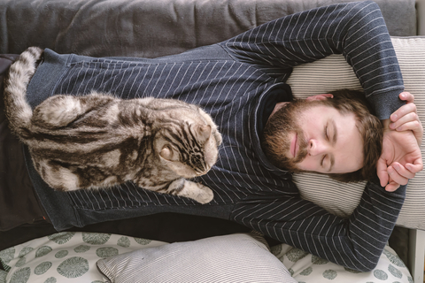 顔の上で寝る愛猫 猫が飼い主の顔の上で寝るのはどうして Uchinoco うちの子