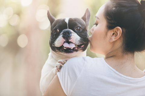 犬の寂しい時の行動とは 寂しがる時の対処法 Uchinoco うちの子