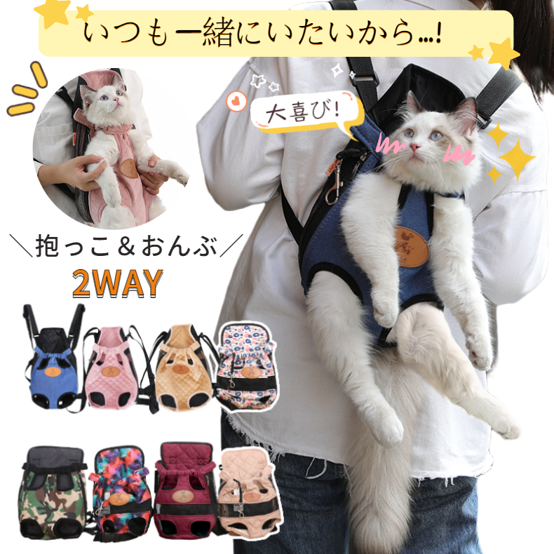 猫の正しい持ち方 安全な持ち方や抱っこ用グッズをご紹介 Uchinoco うちの子