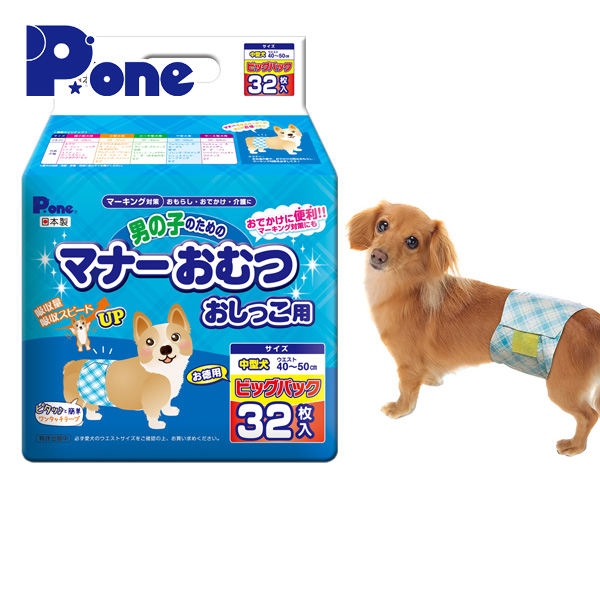 犬用オムツの付け方が知りたい マナーパッドとの違いって Uchinoco うちの子