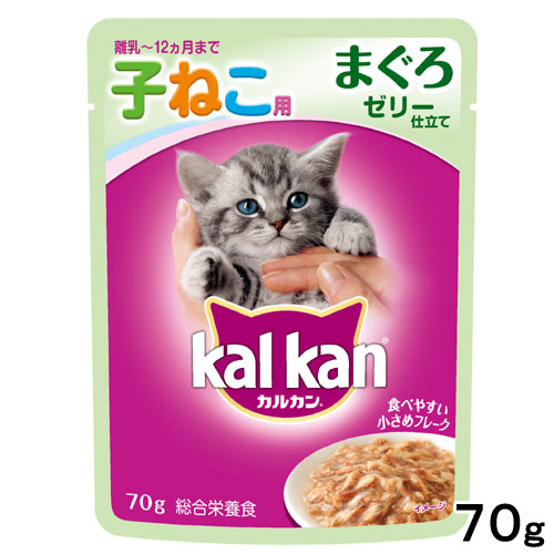 子猫の離乳食はいつから始めていつまであげる 気になる疑問を解決 Uchinoco うちの子