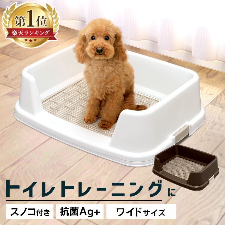 犬のイタズラでトイレシートがぐちゃぐちゃに 対処方法をご紹介 Uchinoco うちの子