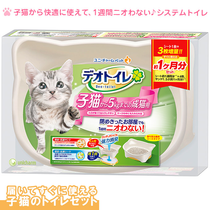 子猫がトイレで寝るようになってしまった やめさせる方法 おすすめのトイレとは Uchinoco うちの子