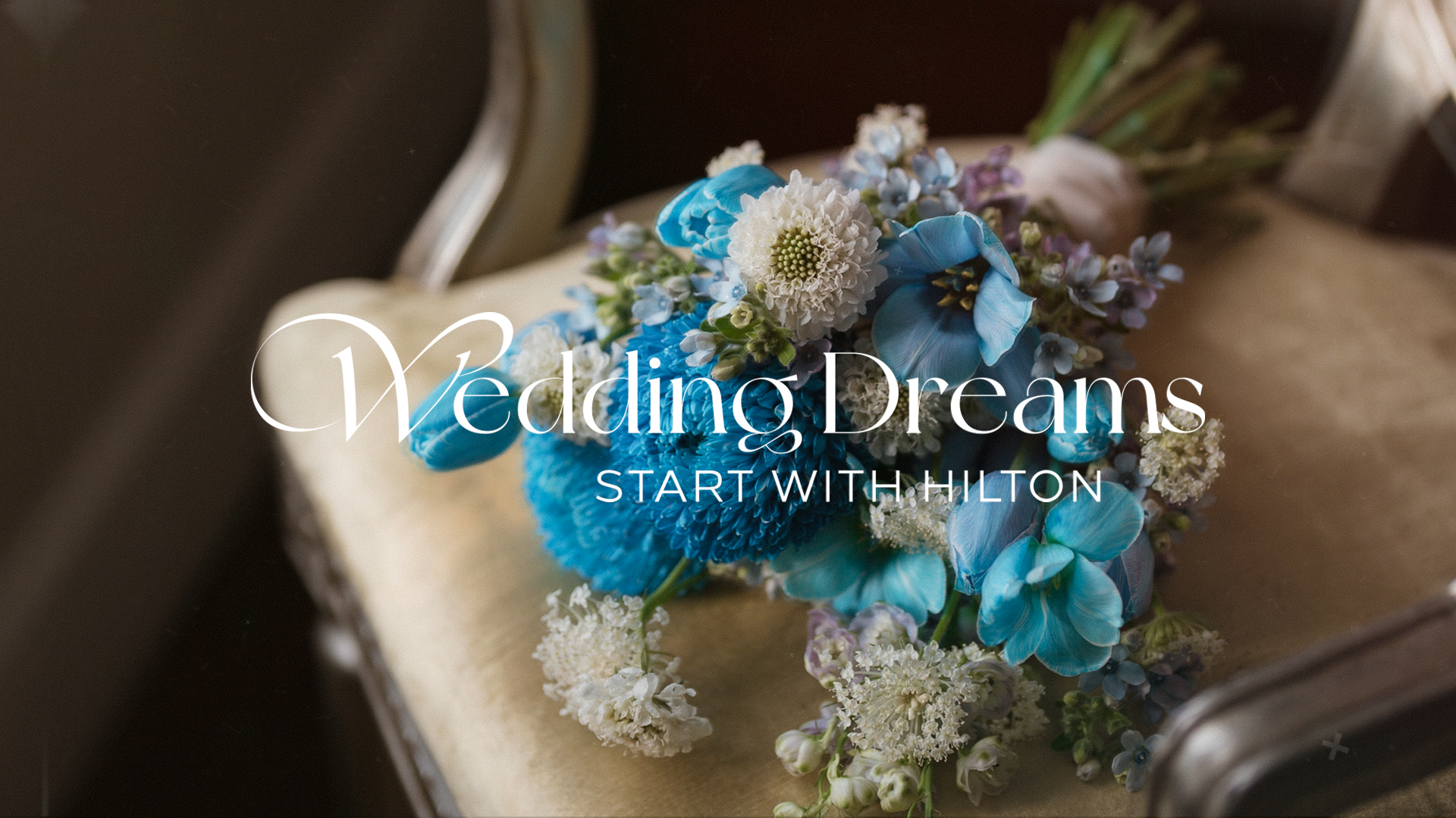 Wedding Dreams – nơi khởi đầu giấc mơ hạnh phúc