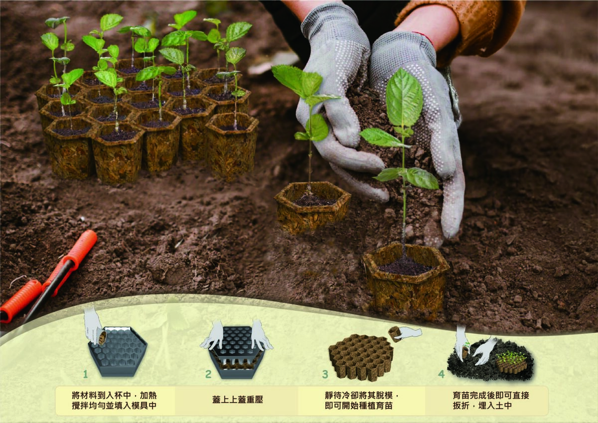 稻殼育苗穴盤情境圖與操作步驟