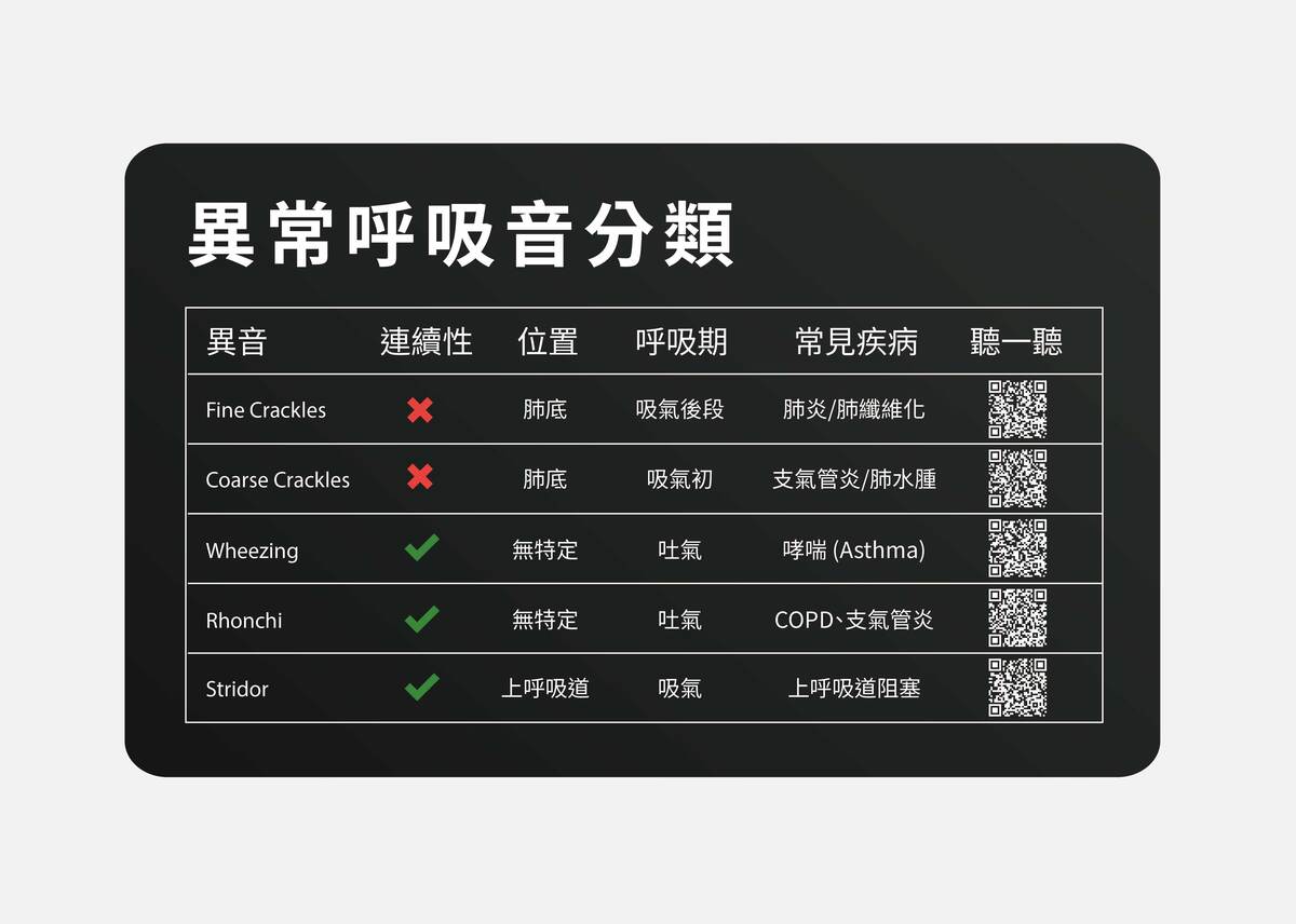 聽診辨別聲音特點