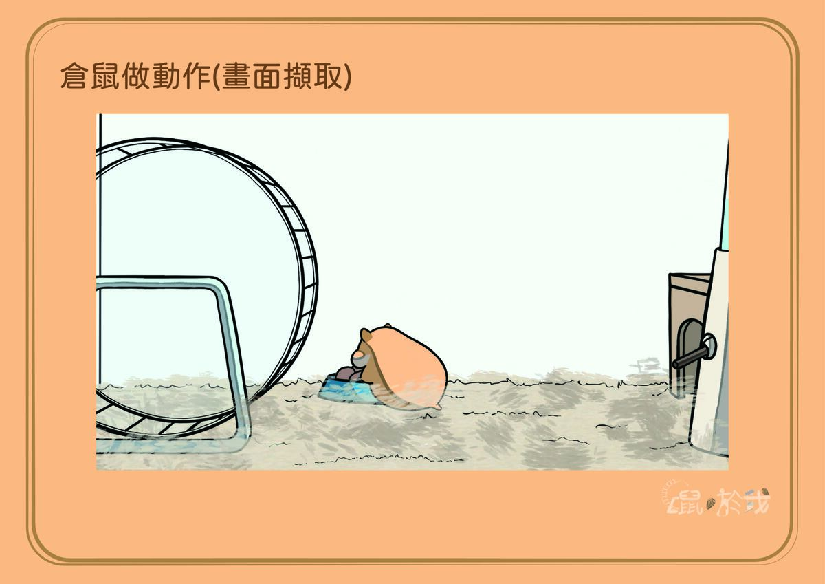 倉鼠做動作(畫面擷取)