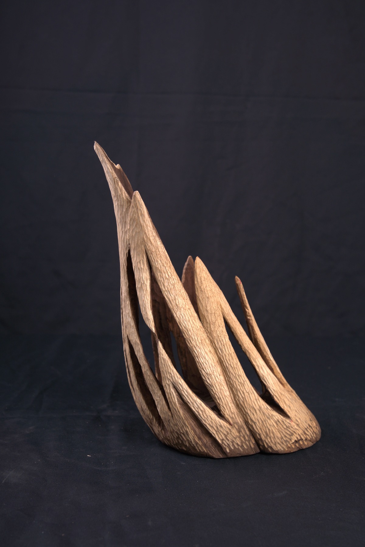 By merging the imagery of withered roots and rising flames, it represents a resurgence—life rekindled from what once seemed lost.