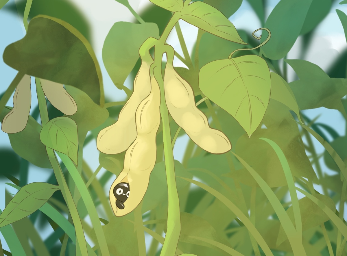 黑豆，簡單又充滿好奇，逐漸經歷了醬油製作過程的六個階段。一路走來，黑豆受到了六個不同角色情感的影響，內心的情感也變得更加豐富。在製作醬油的主要原料，經歷故事中六個人物的挑戰，最後成為醬油本身。