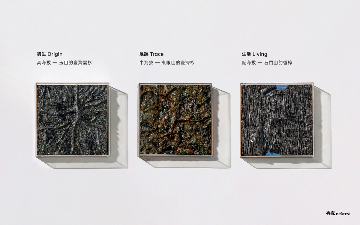三張專輯以樹種與山域，串聯森林、林業與木藝文化。