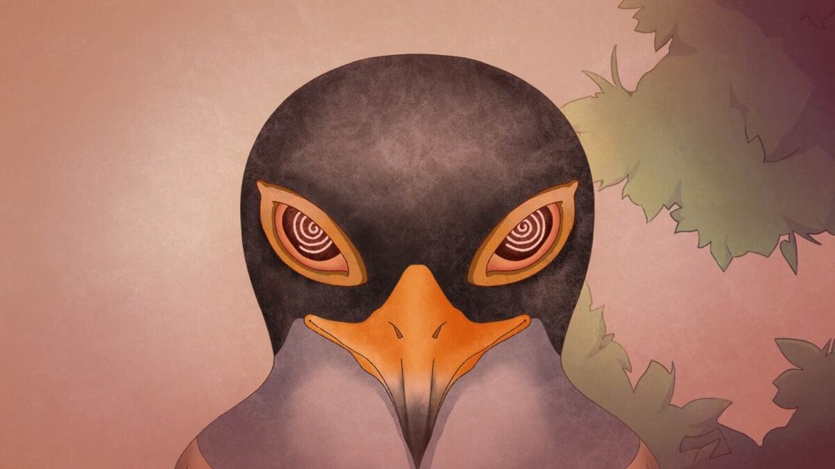鳩鳥帶有侵略性的眼神，危險即將來臨。