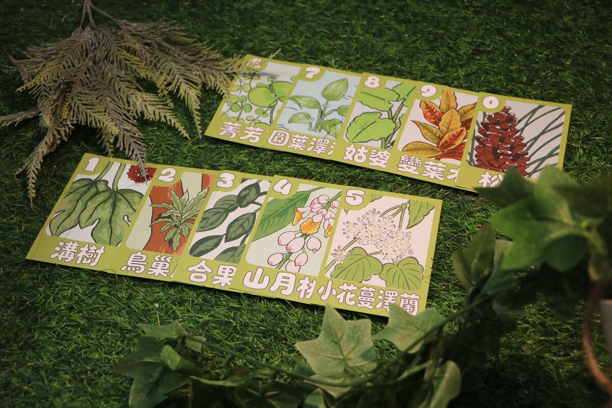 雙面兼具插畫與知識，引導兒童團隊探索步道植物。
