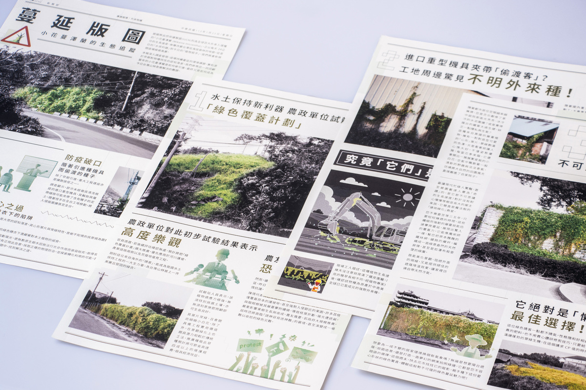 以報紙形式介紹小花蔓澤蘭進入台灣之原因。