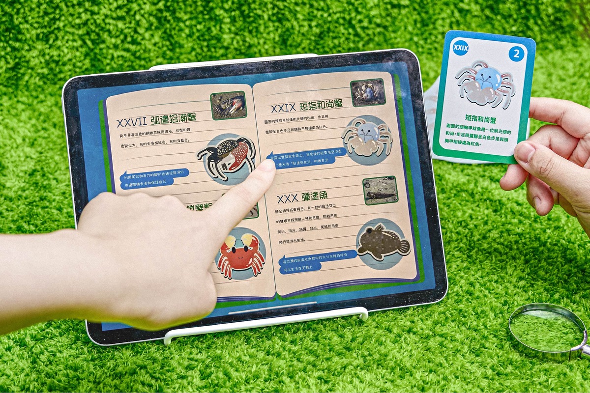 遊戲手冊，可用於對照卡牌資料