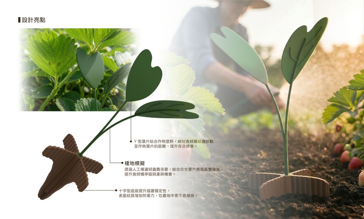 Y型葉片設計用於穩固在作物之間，以確保食蚜蠅幼蟲能夠精準爬行至作物；十字形底座與紋理用於穩固站立及便於拾取。