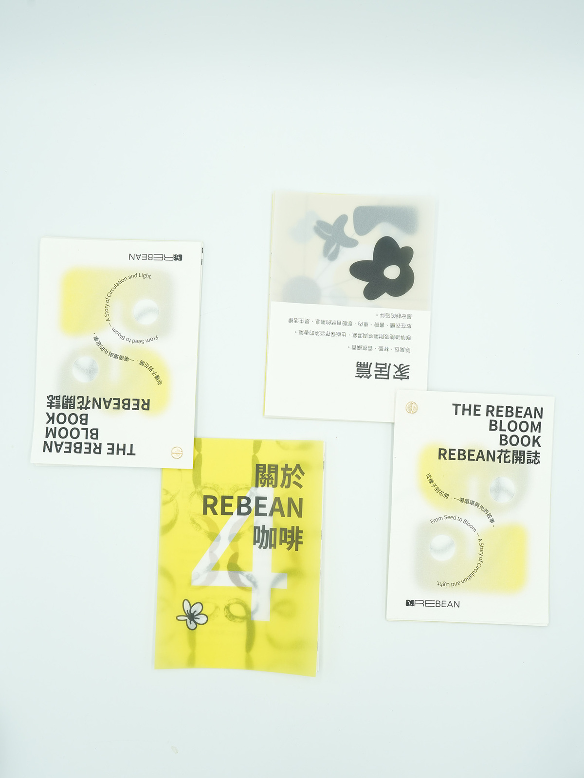 品牌小冊。
用透光、透氣的手法設計品牌小冊。