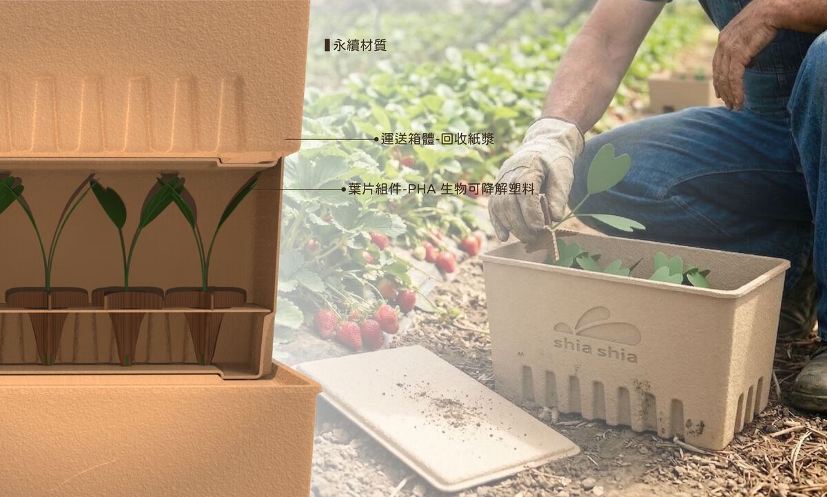 使用回收紙漿製成紙塑外盒、可生物降解的 PHA 線材 3D 列印葉片與底座，對環境無汙染。