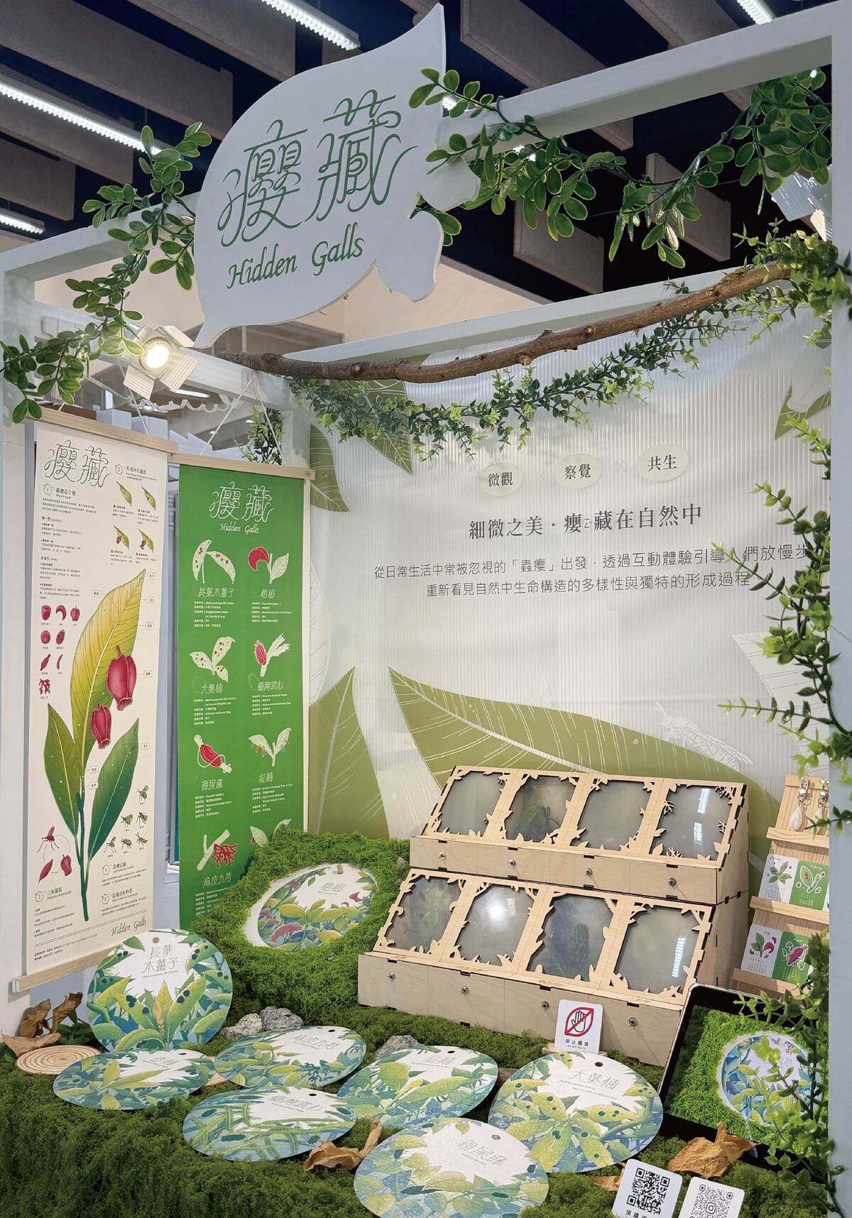 透過互動體驗流程，引導觀者深入了解蟲癭。