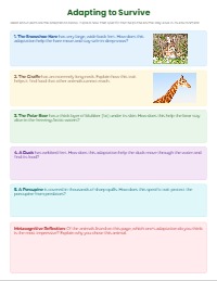 Exploring Amazing Animal Adaptations