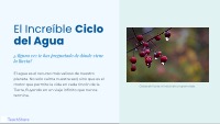 El Increíble Ciclo del Agua