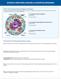 Grade 9 Biology: Cell Foundation Worksheet