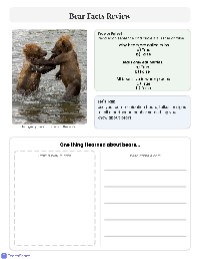 Understanding Alaskan Brown Bears