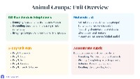 Animal Groups Overview