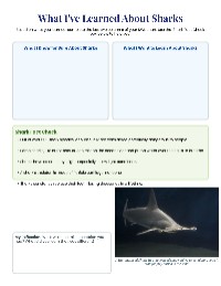Shark Study and Learning