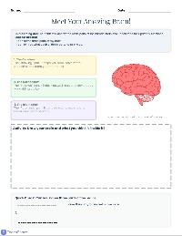 My Amazing Brain