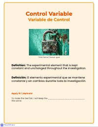 Bilingual Scientific Investigation Variable Posters
