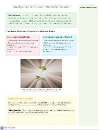 Module 4: Harmony in Nature