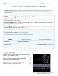 Differentiating Fetal Arrhythmias: Blocked PAC vs. CHB
