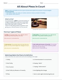 Understanding Pleas and Plea Bargains