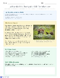 3rd Grade ELA Checkpoint