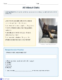 All About Cats
