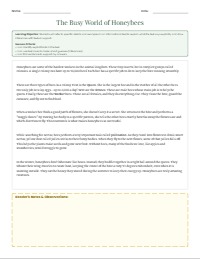 Reading Comprehension Practice Worksheet