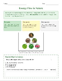Food Chain Explorer