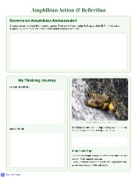 Exploring Amphibians: A Virtual Adventure