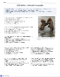 Wild Animal Survival Worksheet