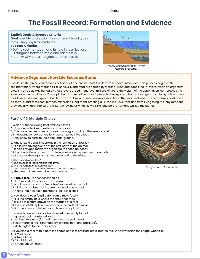 The Story of Fossils