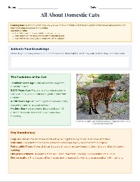 Fascinating Feline Friends