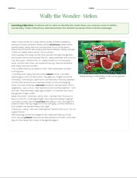 The Incredible Talking Watermelon Adventure