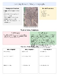 Mastering Explanatory Essays
