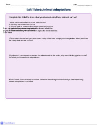 Exploring Animal Adaptations: A Differentiated ELA Suite