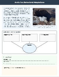 Mastering Main Idea: Animal Adaptations
